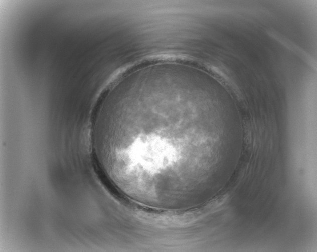 X0000066000016200603101542