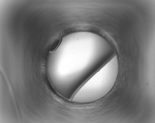 X0000066000017200603101542