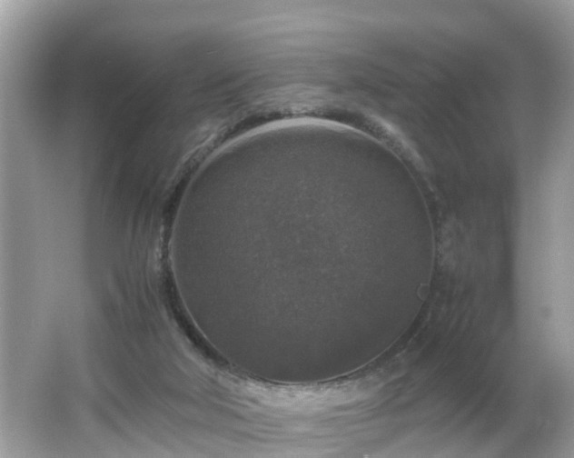 X0000066000018200603101542