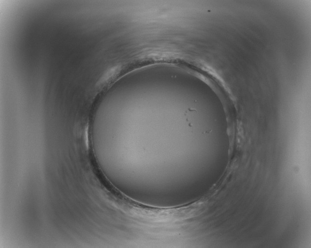 X0000066000019200603101542