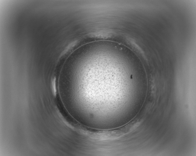 X0000066000020200603101542