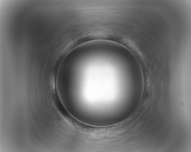 X0000066000021200603101542