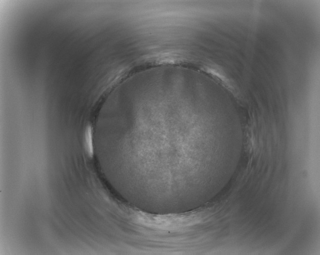 X0000066000022200603101542