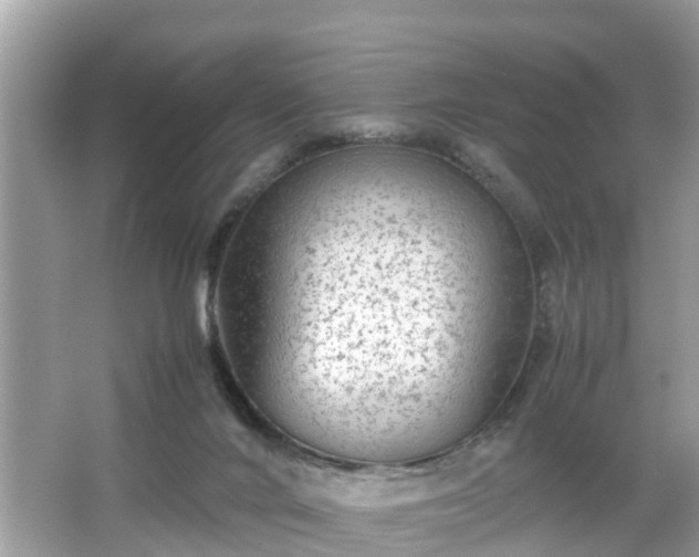 X0000066000024200603101542