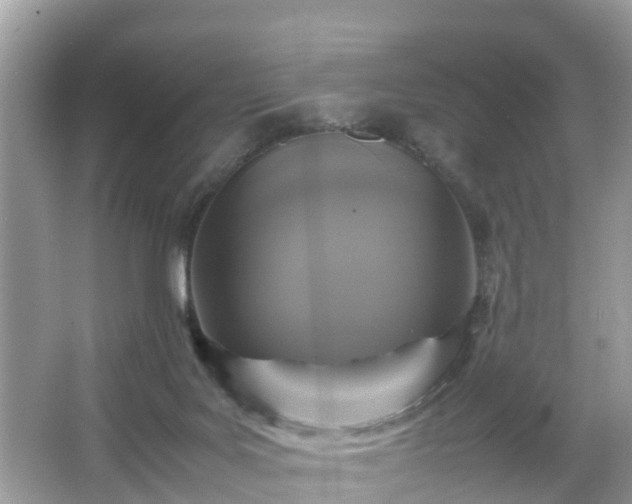 X0000066000027200603101542