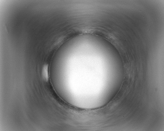 X0000066000028200603101542