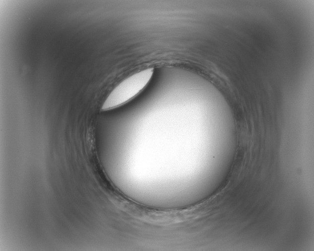 X0000066000029200603101542