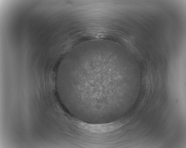 X0000066000030200603101542