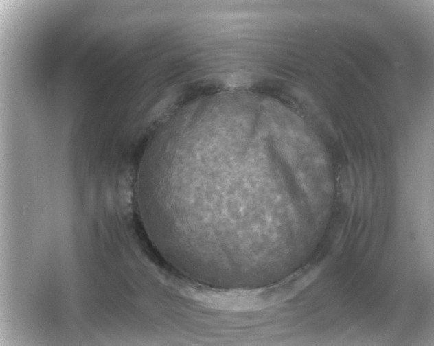 X0000066000032200603101542