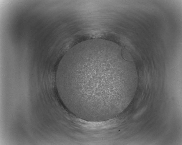 X0000066000034200603101542