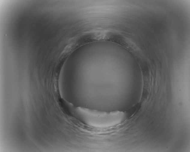 X0000066000035200603101542