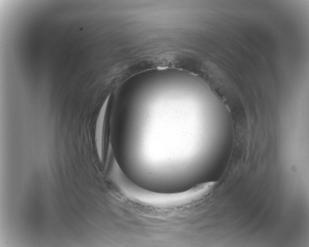 X0000066000037200603101542