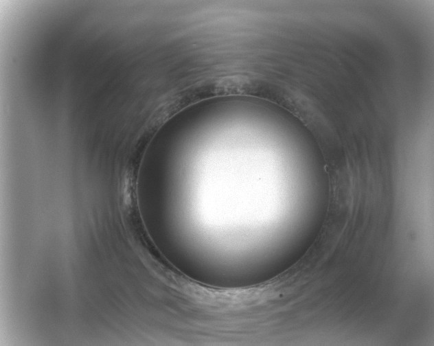 X0000066000038200603101542