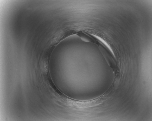 X0000066000039200603101542