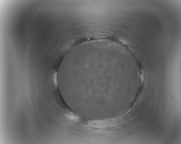 X0000066000041200603101542