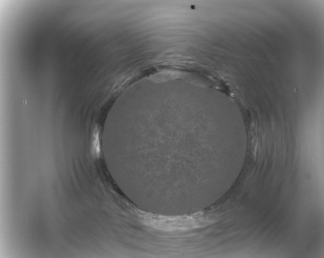 X0000066000042200603101542