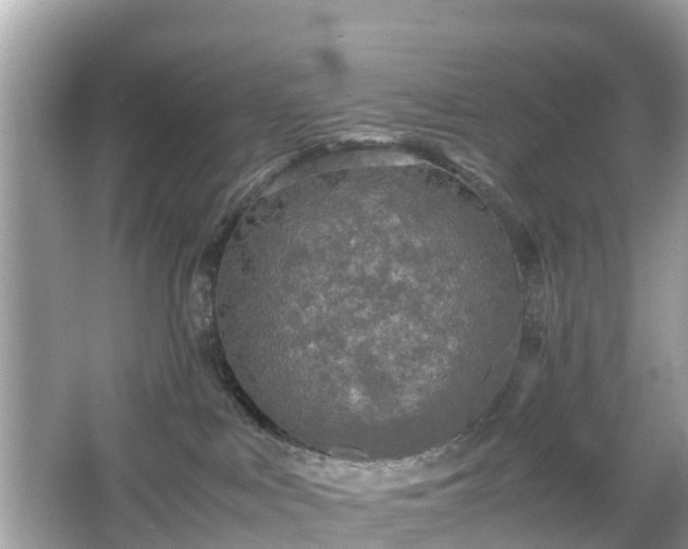 X0000066000043200603101542