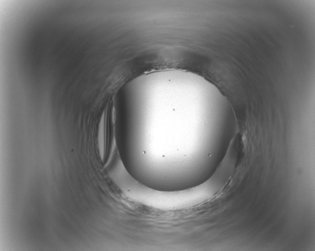 X0000066000045200603101542