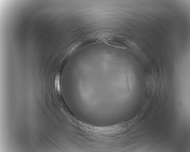 X0000066000046200603101542