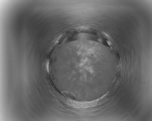 X0000066000047200603101542