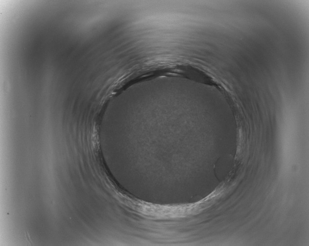 X0000066000048200603101542