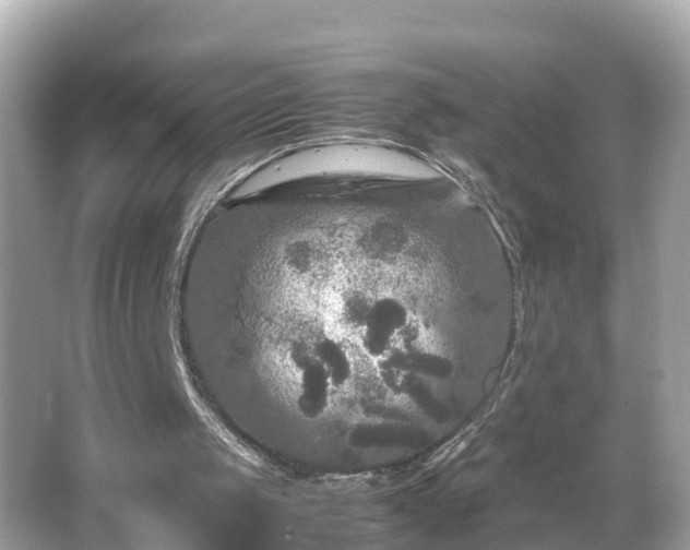 X0000066000049200603101541