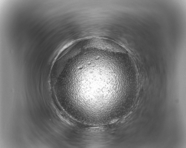 X0000066000050200603101541