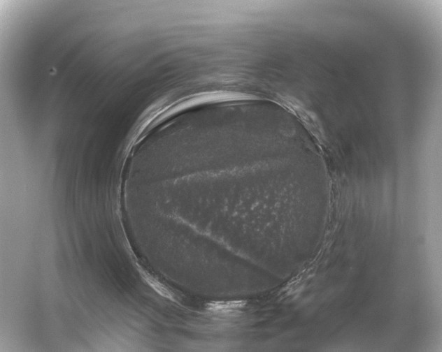 X0000066000051200603101541