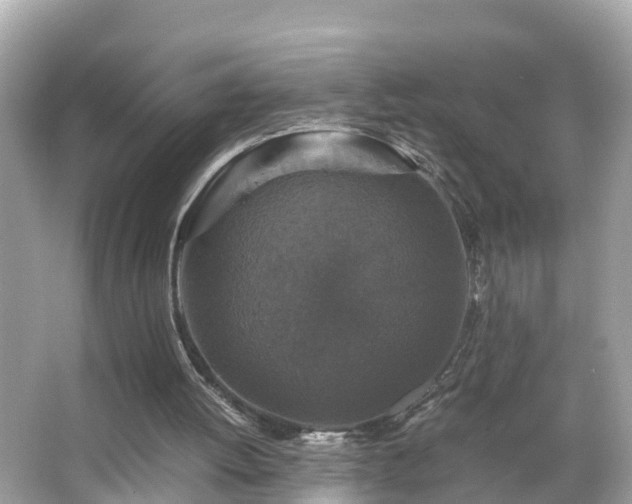 X0000066000052200603101541