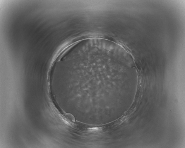 X0000066000053200603101541