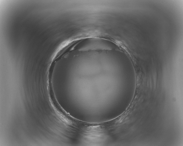 X0000066000054200603101541