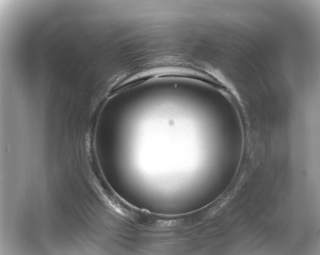 X0000066000057200603101541