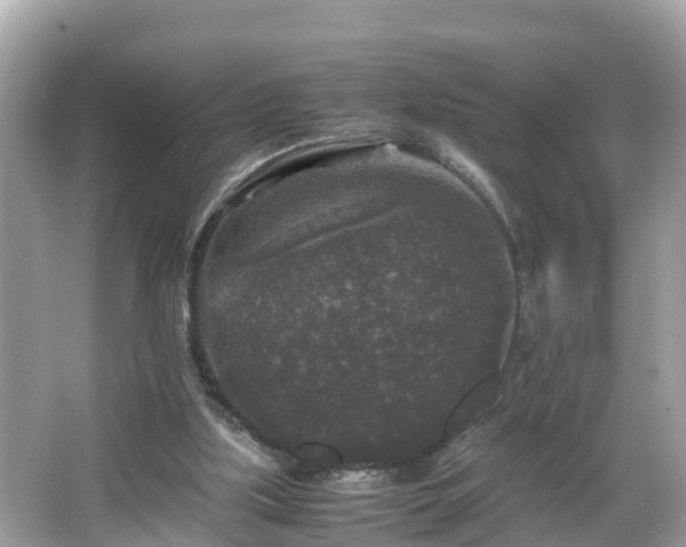 X0000066000059200603101541