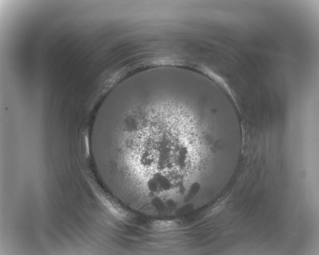 X0000066000061200603101541