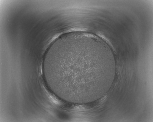 X0000066000062200603101541