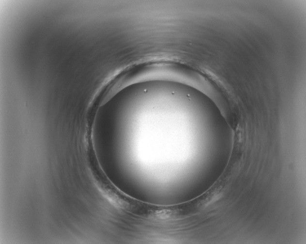 X0000066000064200603101541