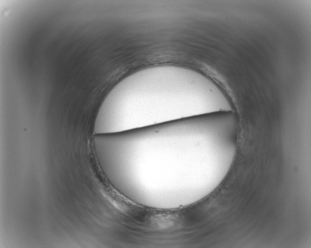 X0000066000065200603101541