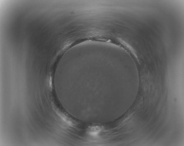 X0000066000067200603101541