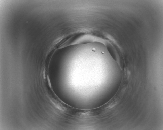 X0000066000068200603101541