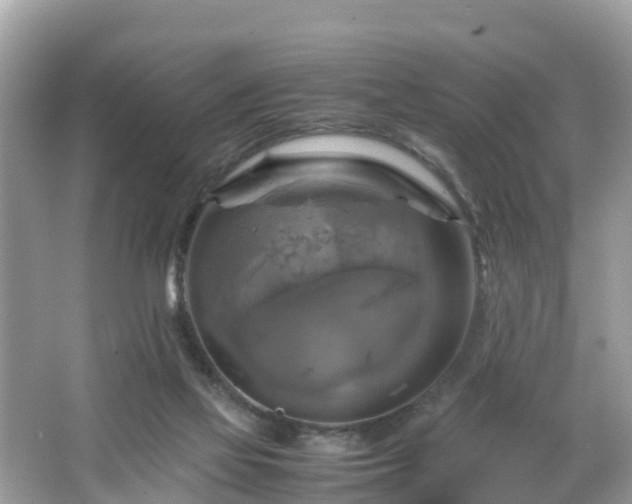 X0000066000069200603101541