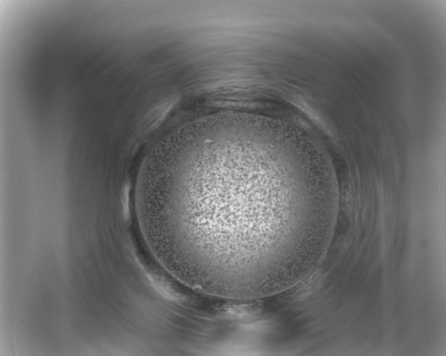 X0000066000070200603101541