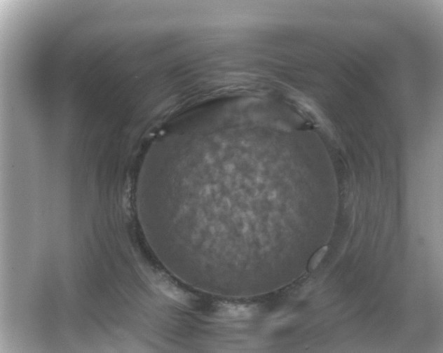 X0000066000073200603101541