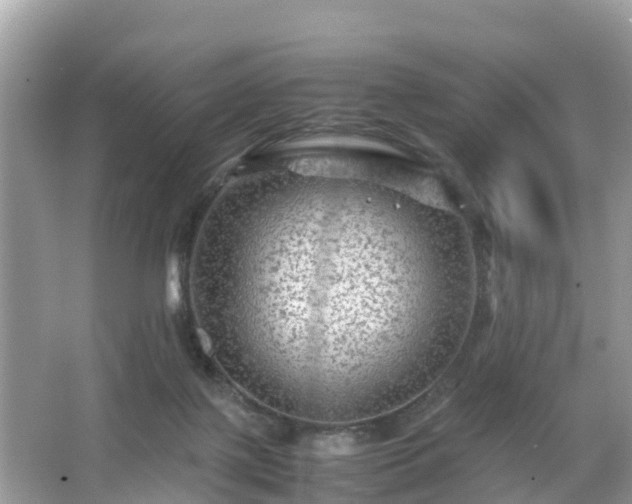 X0000066000075200603101541