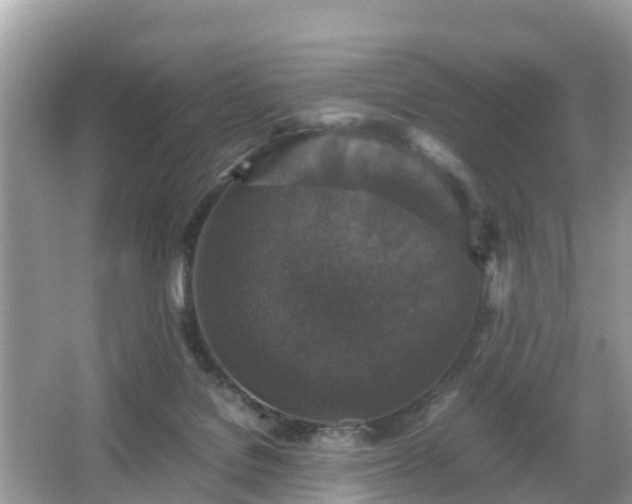 X0000066000076200603101541