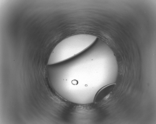 X0000066000077200603101541