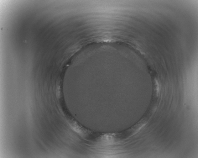 X0000066000080200603101542