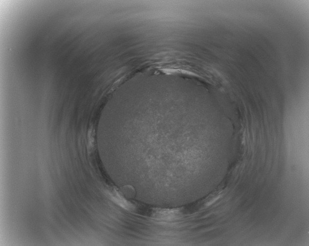 X0000066000081200603101542