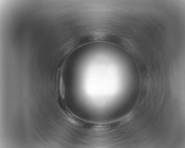 X0000066000082200603101542