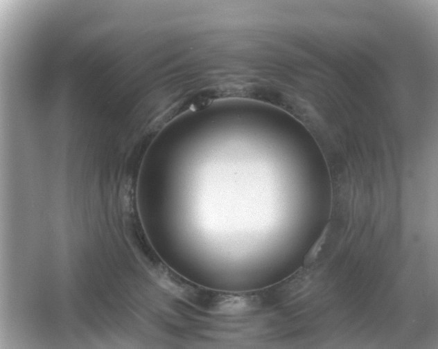 X0000066000083200603101542