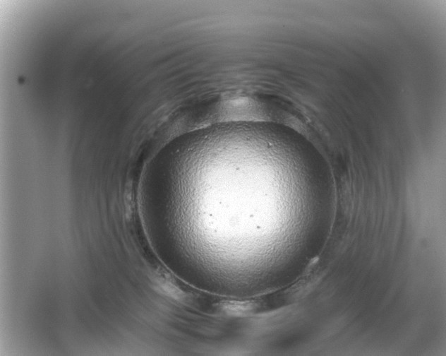 X0000066000085200603101542